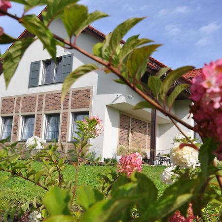 Tulipanowy Gosciniec Bed & Breakfast Jantar Exterior photo