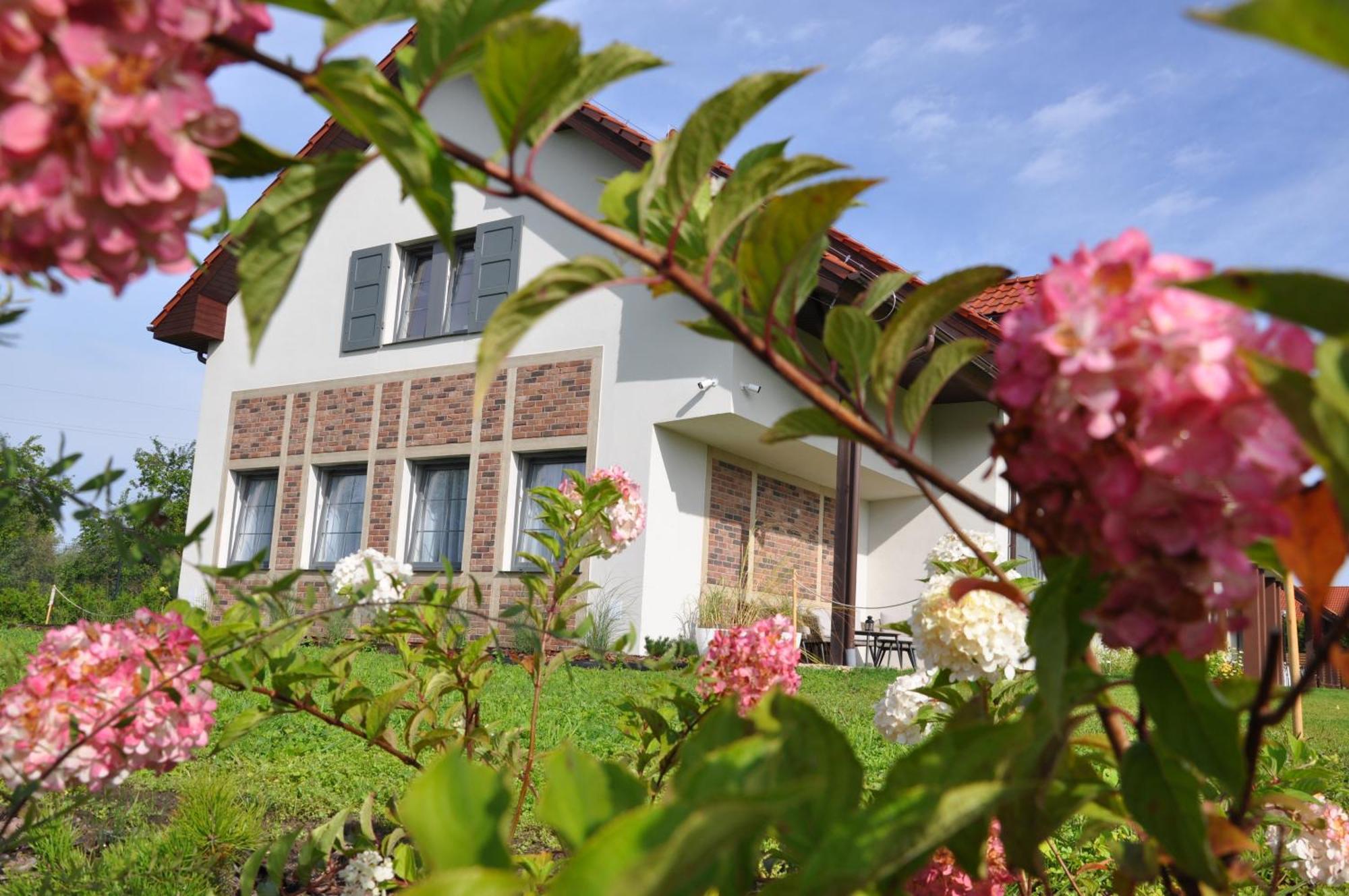 Tulipanowy Gosciniec Bed & Breakfast Jantar Exterior photo